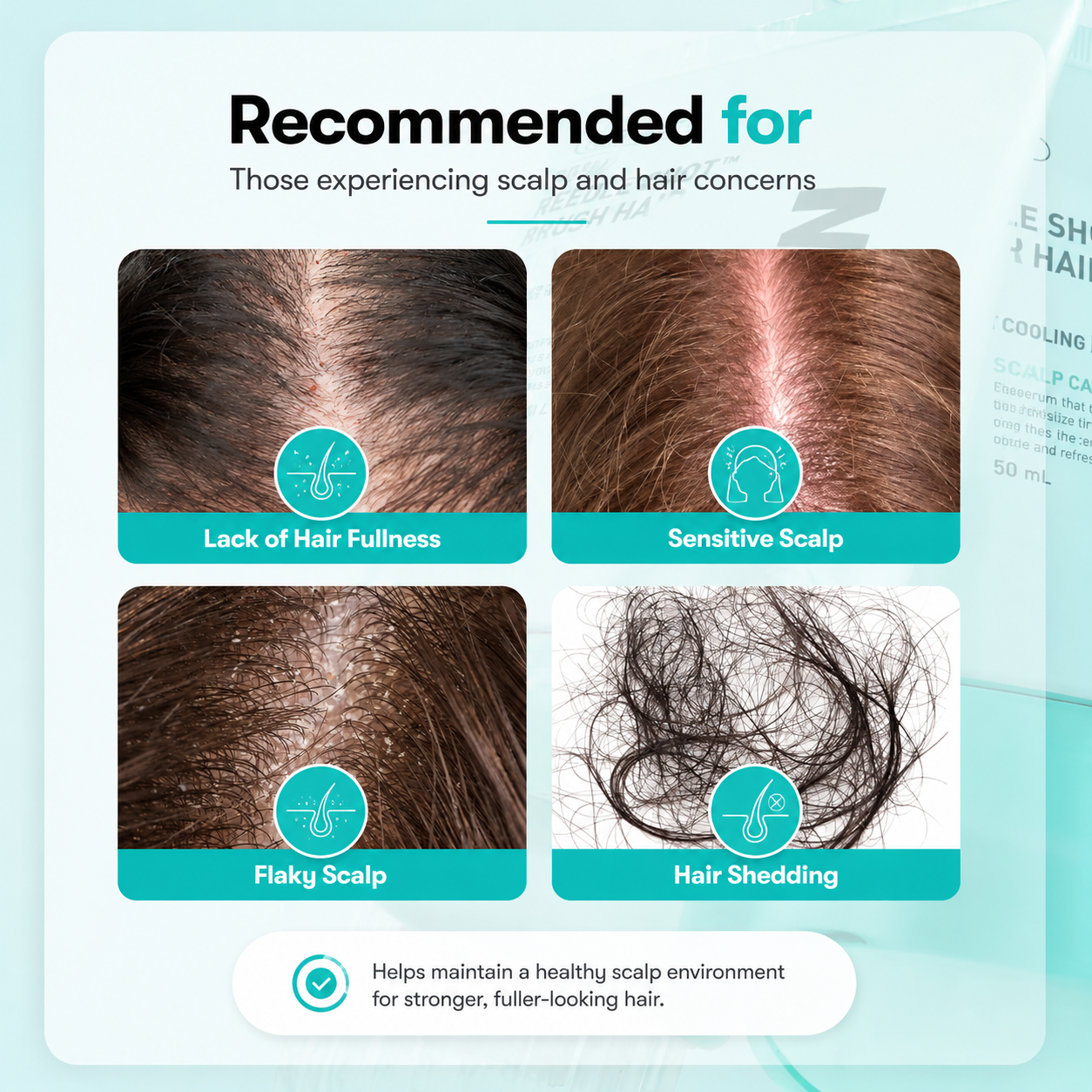 An informational graphic for hair care products with the heading 'Recommended for' and four panels showing scalp and hair conditions: lack of hair fullness, sensitive scalp, flaky scalp, and hair shedding. The design uses teal icons and labels on a pale blue background.