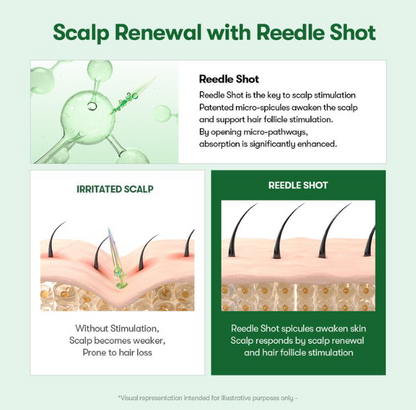 An informational graphic titled 'Scalp Renewal with Reedle Shot' explaining scalp stimulation. It includes a green molecular illustration, a cross-section of an irritated scalp with a needle, and a panel showing hair follicles stimulated by Reedle Shot spicules.